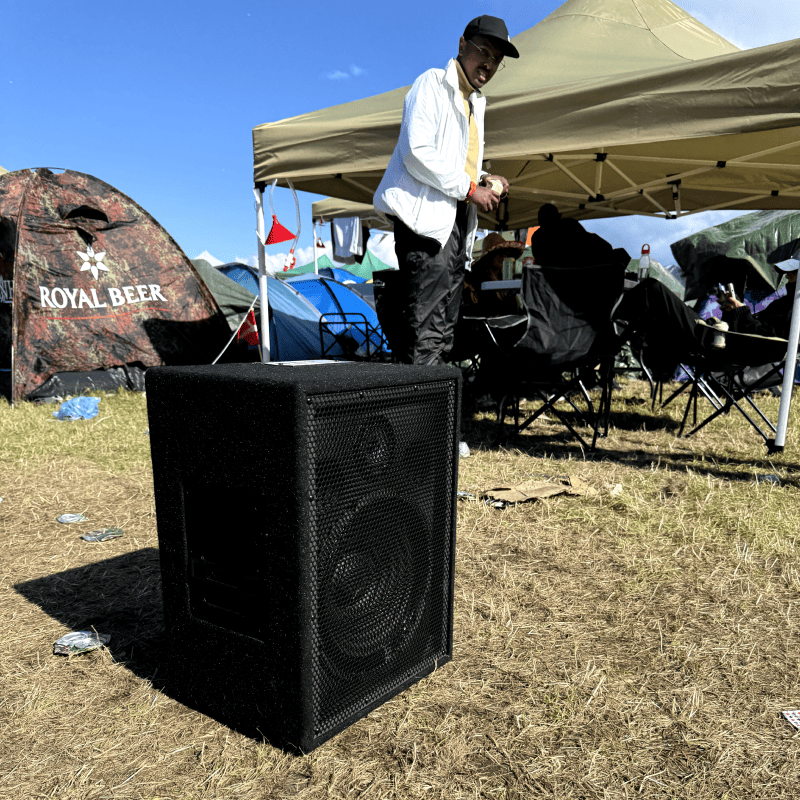 Festivalhøjtaler - Plus